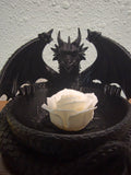 Dragon Bowl (flower not included)